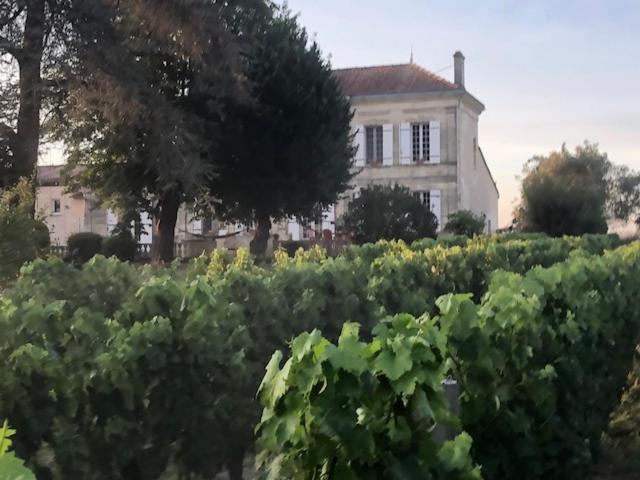 Bed and Breakfast Chateau Couchebout Pugnac Exterior foto